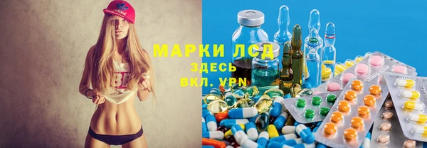 гашик Арсеньев