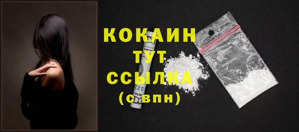 гашик Арсеньев