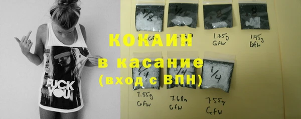 гашик Арсеньев