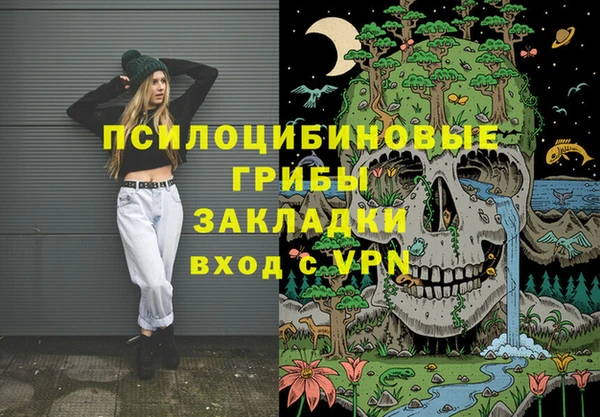 гашик Арсеньев