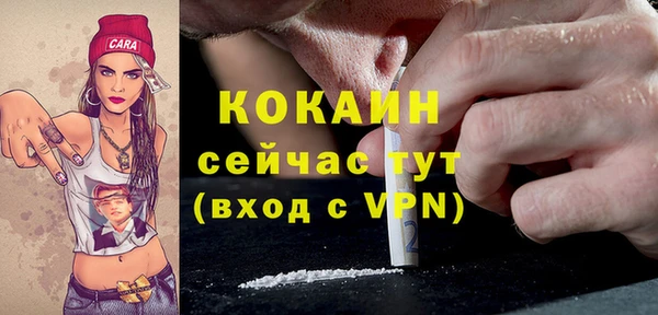 гашик Арсеньев
