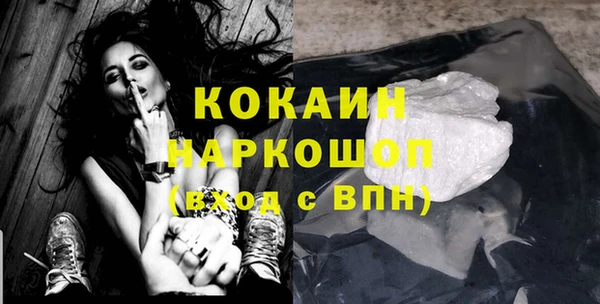 гашик Арсеньев