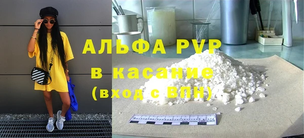 гашик Арсеньев