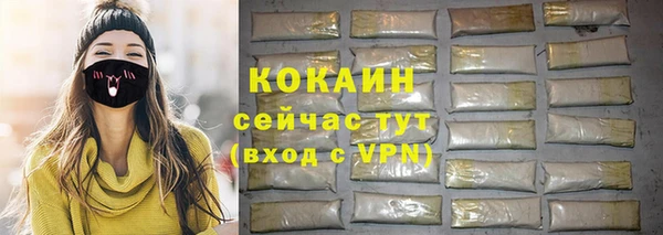 гашик Арсеньев