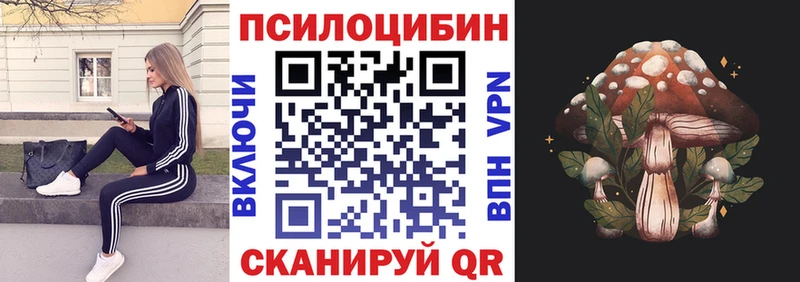как найти   Каспийск  Псилоцибиновые грибы Psilocybine cubensis 